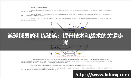 篮球球员的训练秘籍：提升技术和战术的关键步骤